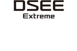 Logo of DSEE Extreme